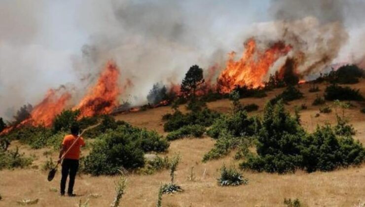 bingöl’de 14 gün sonra aynı yerde orman yangını! 10 kilometrelik alana yayıldı