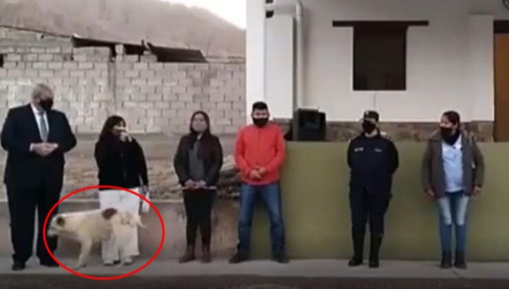 arjantin’de köpek, konuşma yapan belediye başkanının üzerine idrarını yaptı