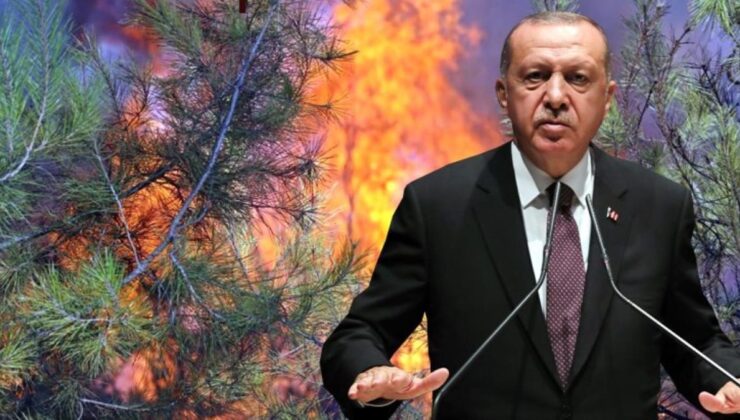 son dakika! cumhurbaşkanı erdoğan’dan yangınlarda sabotaj iddialarına yanıt: soruşturmalar yoğun şekilde devam ediyor