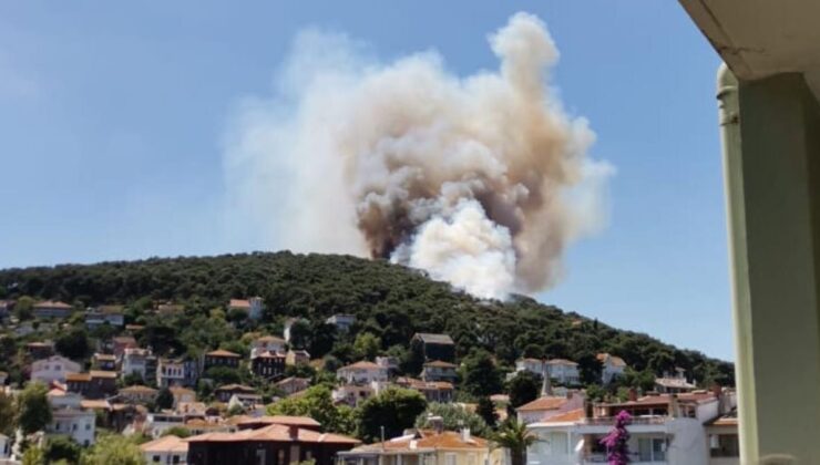 son dakika! heybeliada’da yerleşim yerlerine yakın noktada yangın! alevler kontrol altına alındı