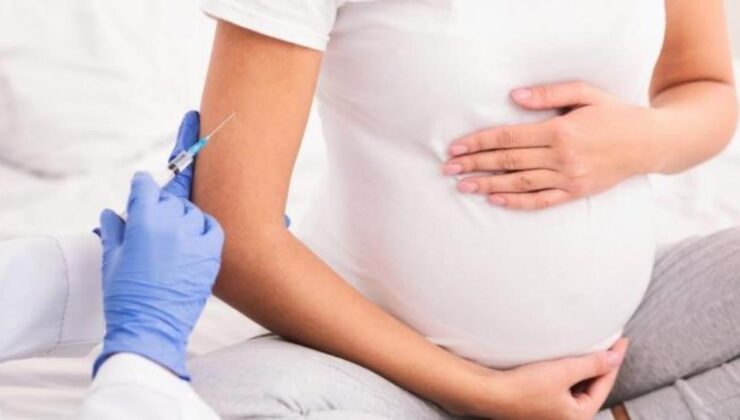 emziren anneler aşı olabilir mi? hamileler koronavirüs aşısı olmalı mı? hangi aşıyı olmalı?