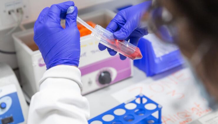 pfizer’dan koronavirüs ilacı müjdesi: klinik testler olumlu sonuçlanırsa hemen üretime geçilecek