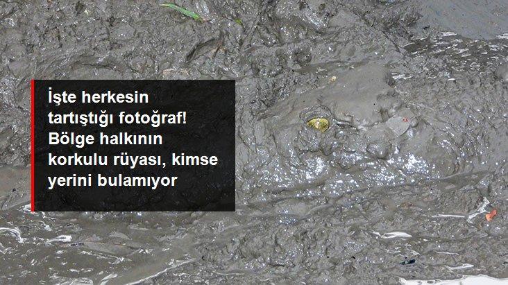 i̇şte herkesin tartıştığı timsah fotoğrafı! resmen bölge halkının korkulu rüyası, çamurun içinden aniden fırlıyor