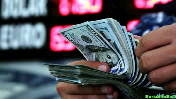 alman bankası commerzbank, türkiye’nin yeni yıl dolar varsayımını yükseltti