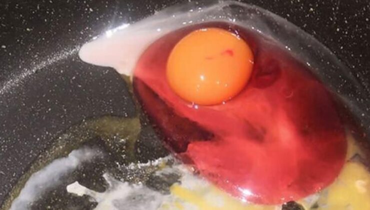 evde kırdığı yumurta, kırmızı aktı! uzmanlar, "sakın tüketmeyin" diye uyardı
