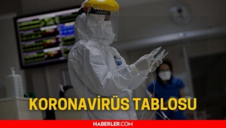 koronavirüs tablosu açiklandi bugün 14 ocak 2022 türkiye’de koronavirüsten kaç kişi öldü, kaç kişi iyileşti, vaka sayısı kaç? omicron vaka sayısı…