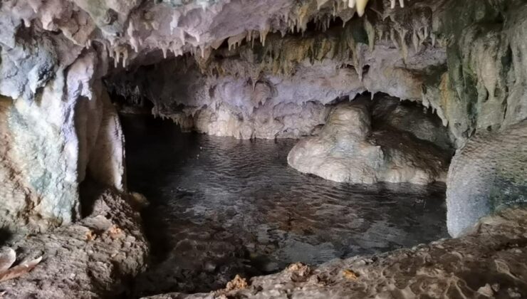 hayvanlarını otlatırken binlerce yıllık mağarayı buldular