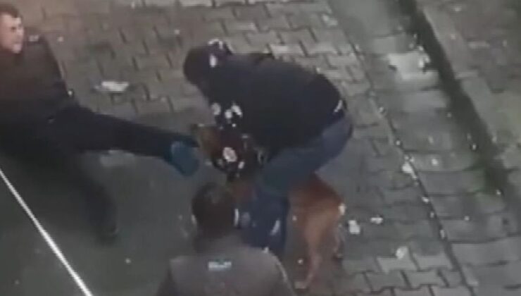 sokaktaki gence saldıran pitbull’un sahibi tutuklandı