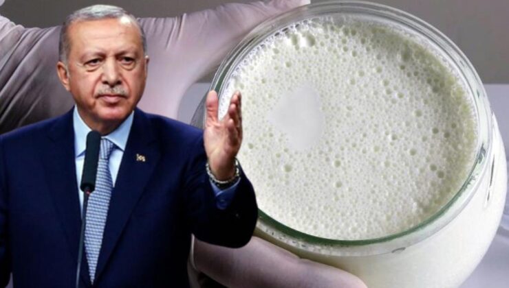 cumhurbaşkanı erdoğan’ın tavsiye ettiği manda yoğurdu üretiminde tokat ön sıralarda yer alıyor