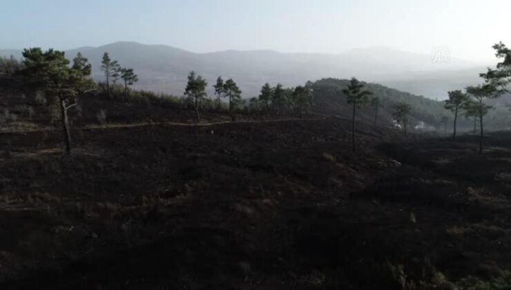 son dakika… çanakkale – (drone) bayramiç’te çıkan orman yangını kontrol altına alındı