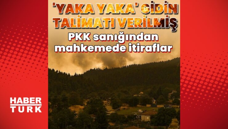 Tutuklanan PKK’lıdan itiraflar