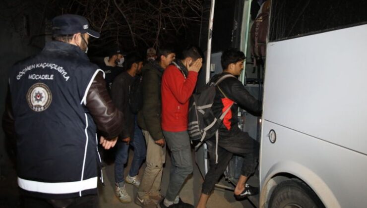 van’da 50 düzensiz göçmen yakalandı: 2 gözaltı
