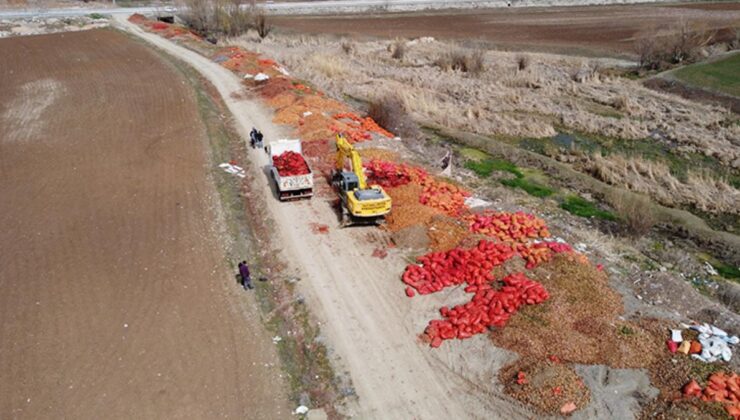 Yol kenarına atılan tonlarca soğan belediye ekipleri tarafından imha edildi